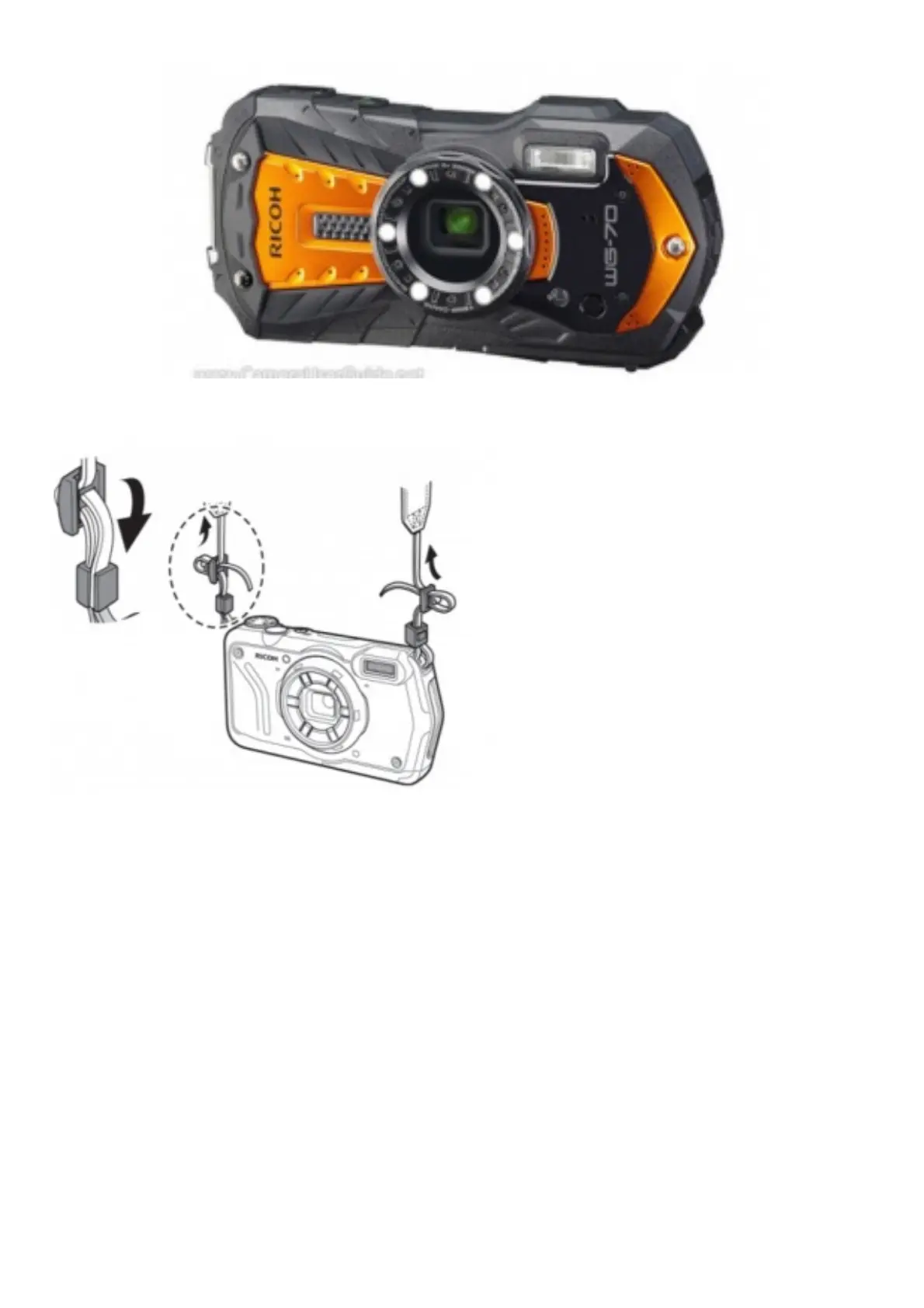 Page #2 background image