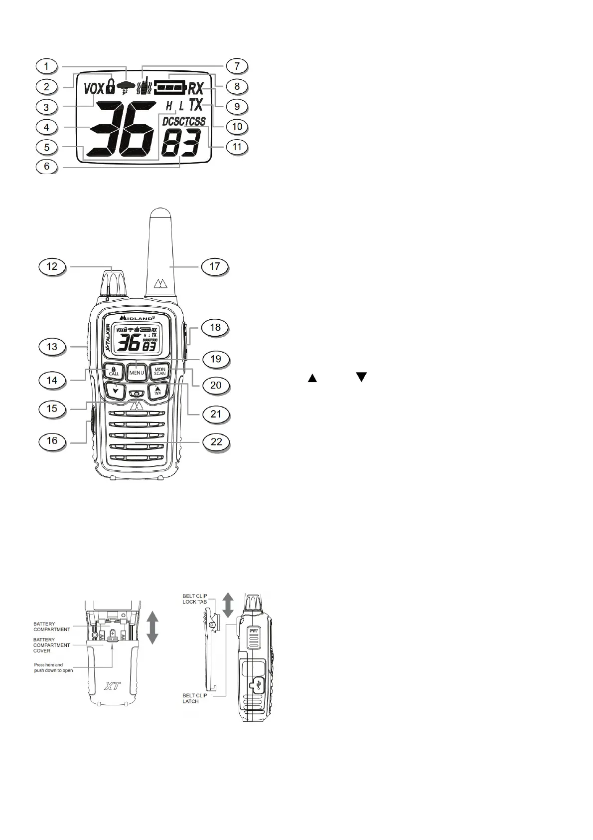 Page #3 background image