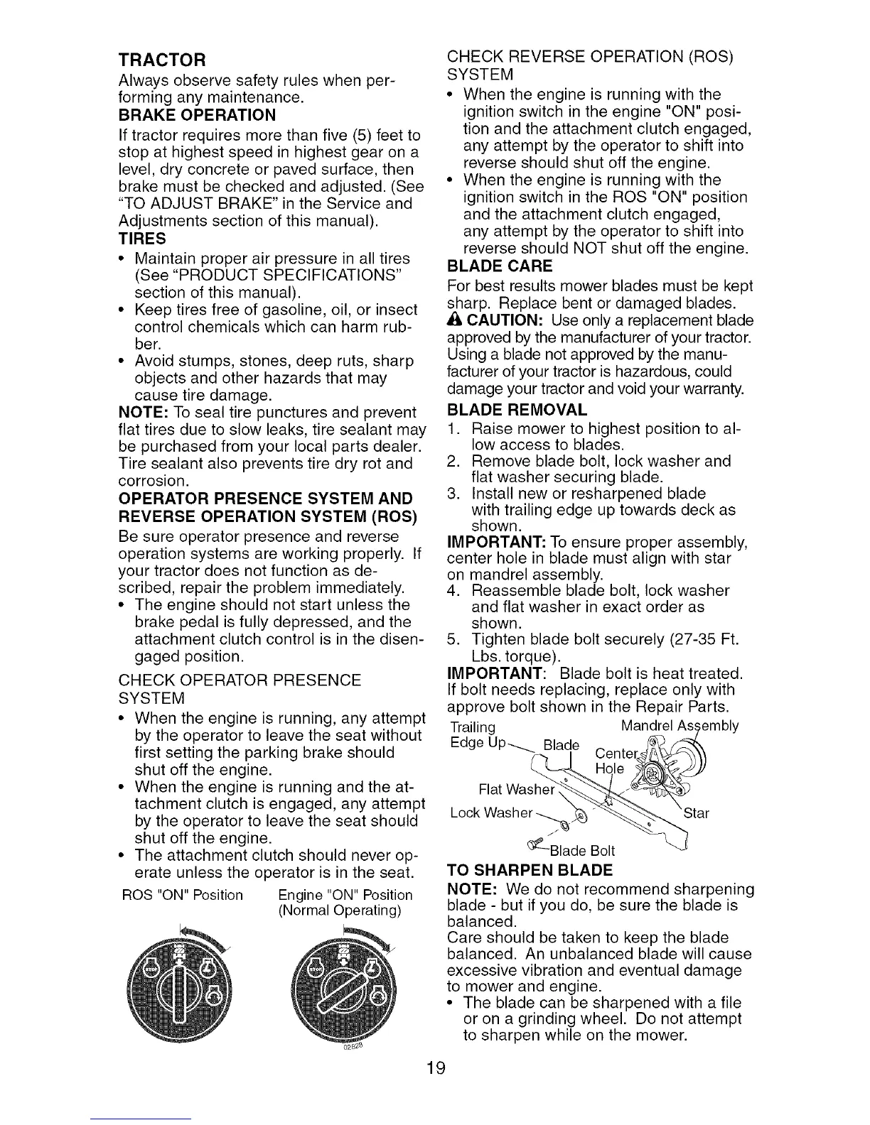 Page #19 background image
