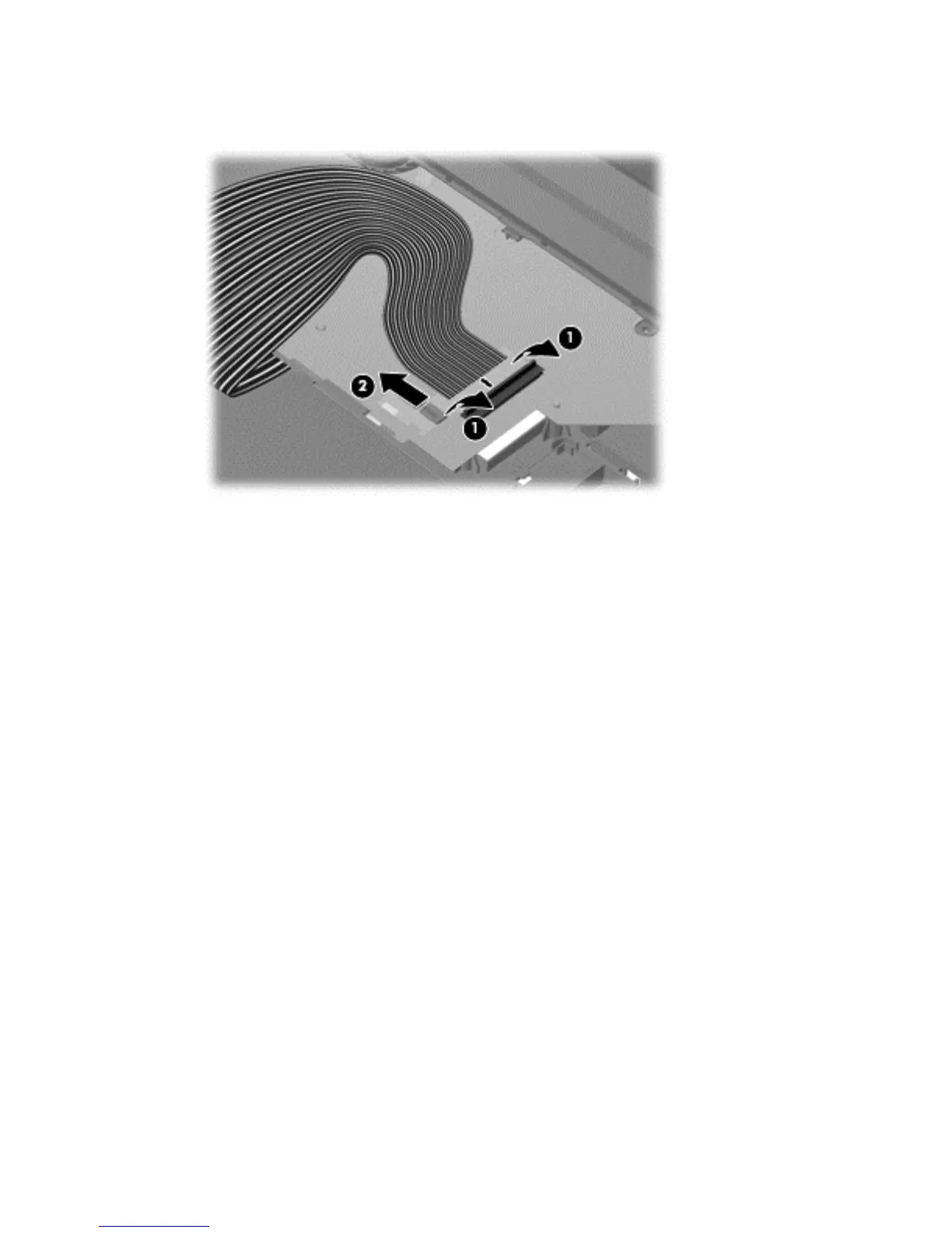 Page #65 background image