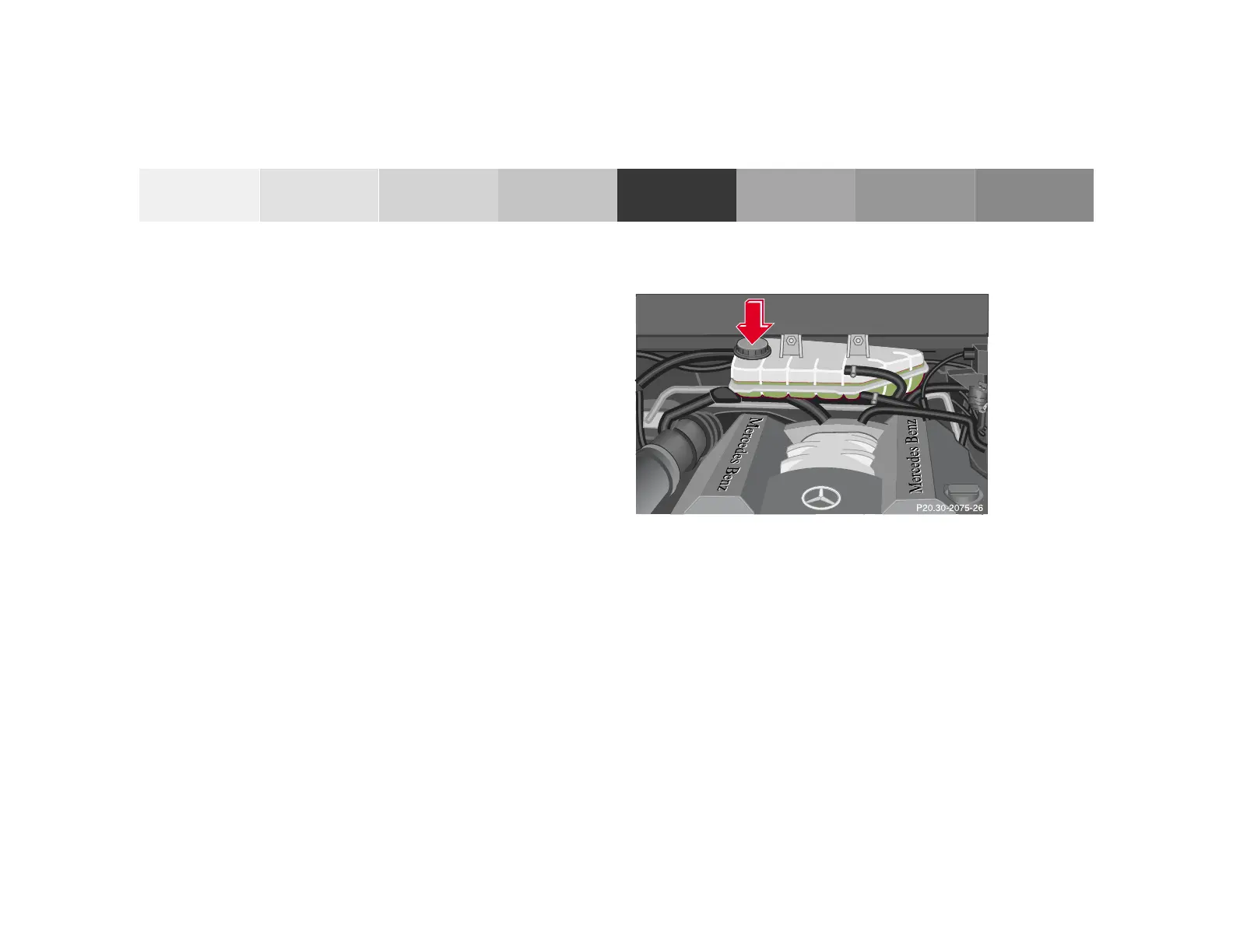 Page #237 background image