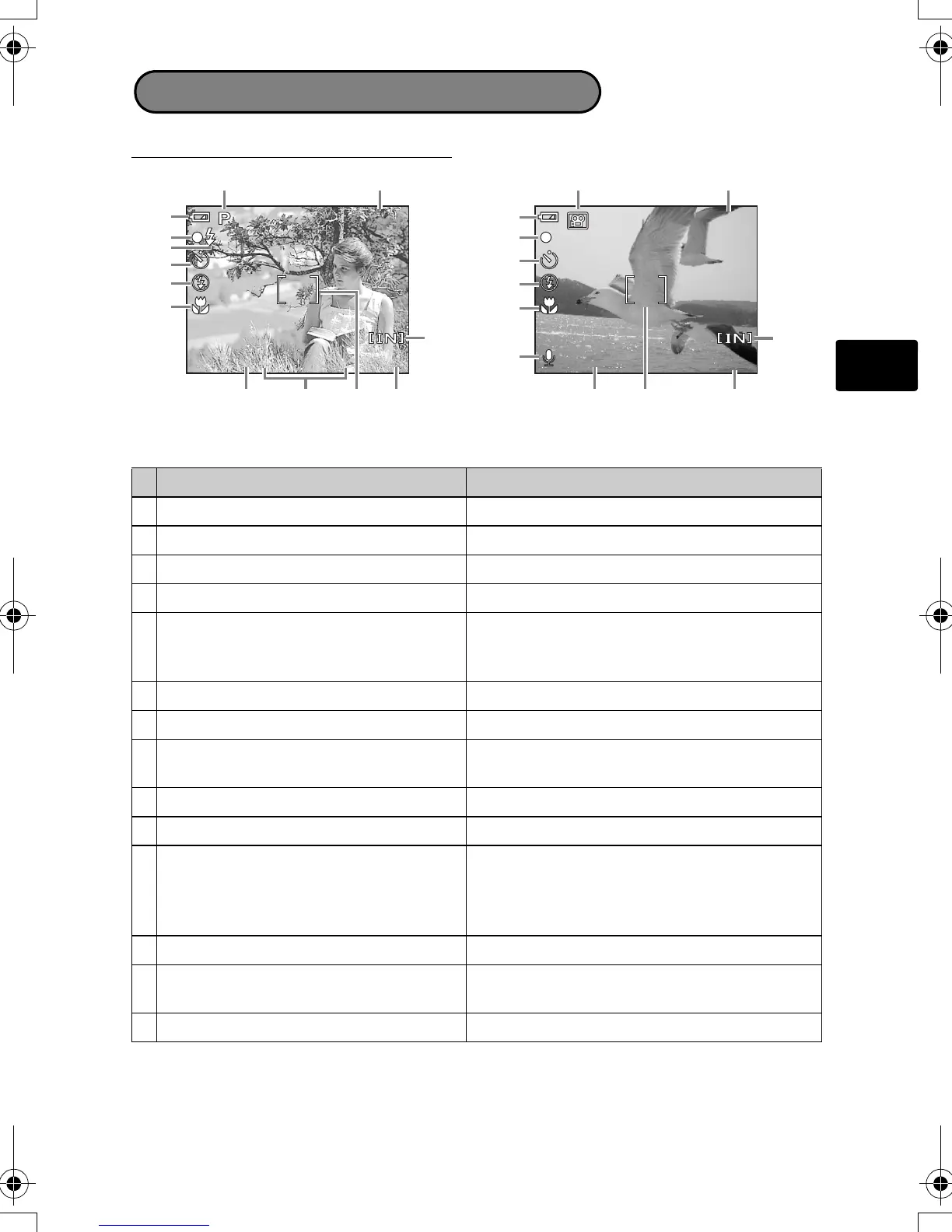 Page #15 background image