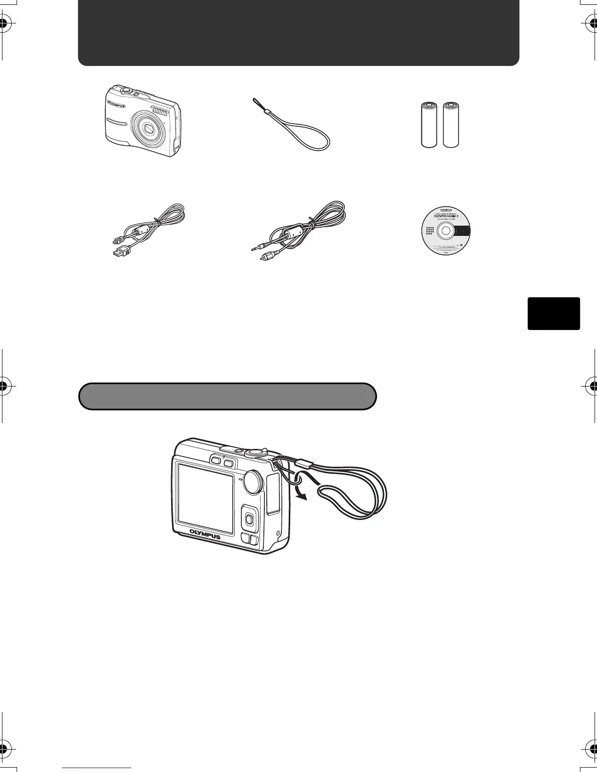 Page #55 background image