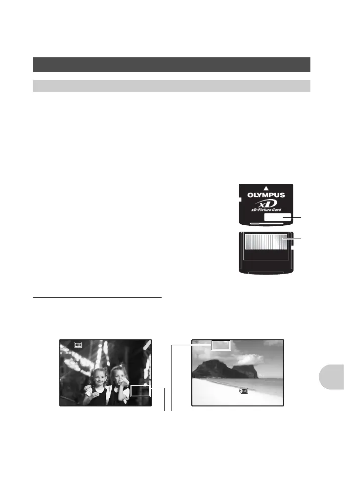 Page #55 background image