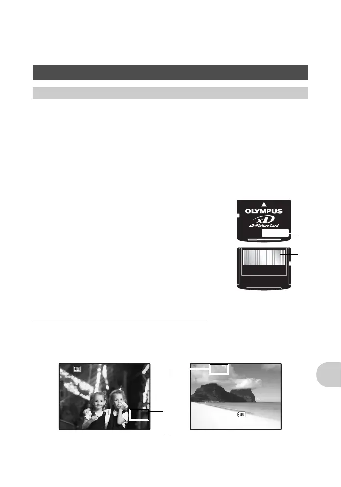 Page #55 background image