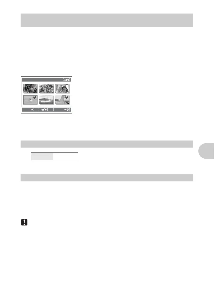 Page #23 background image