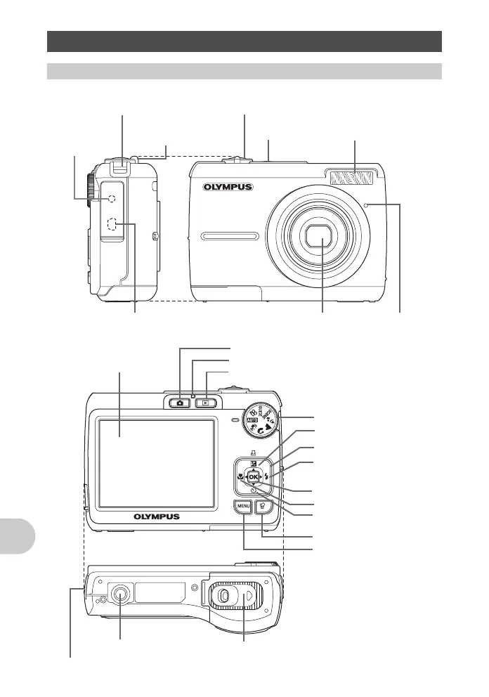 Page #66 background image