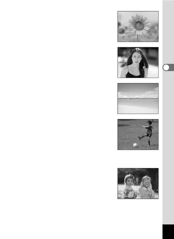 Page #55 background image