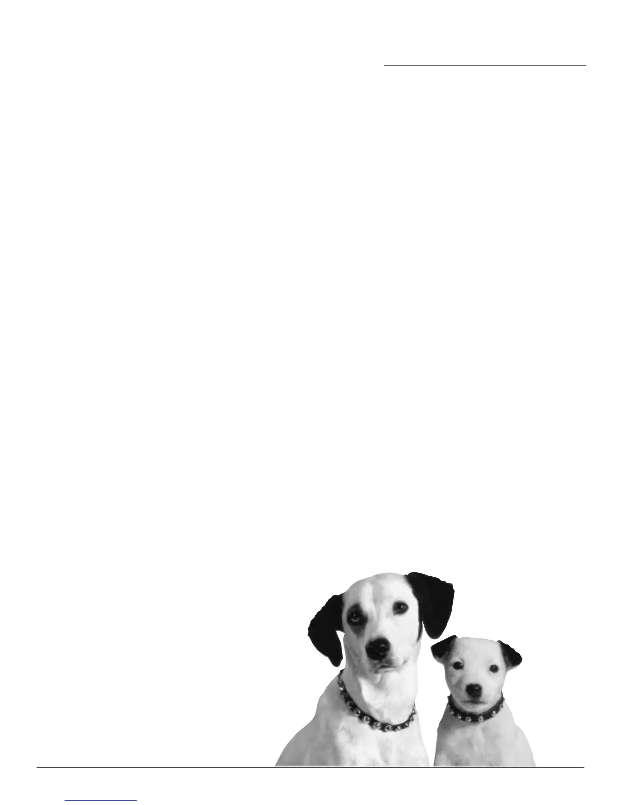 Page #55 background image