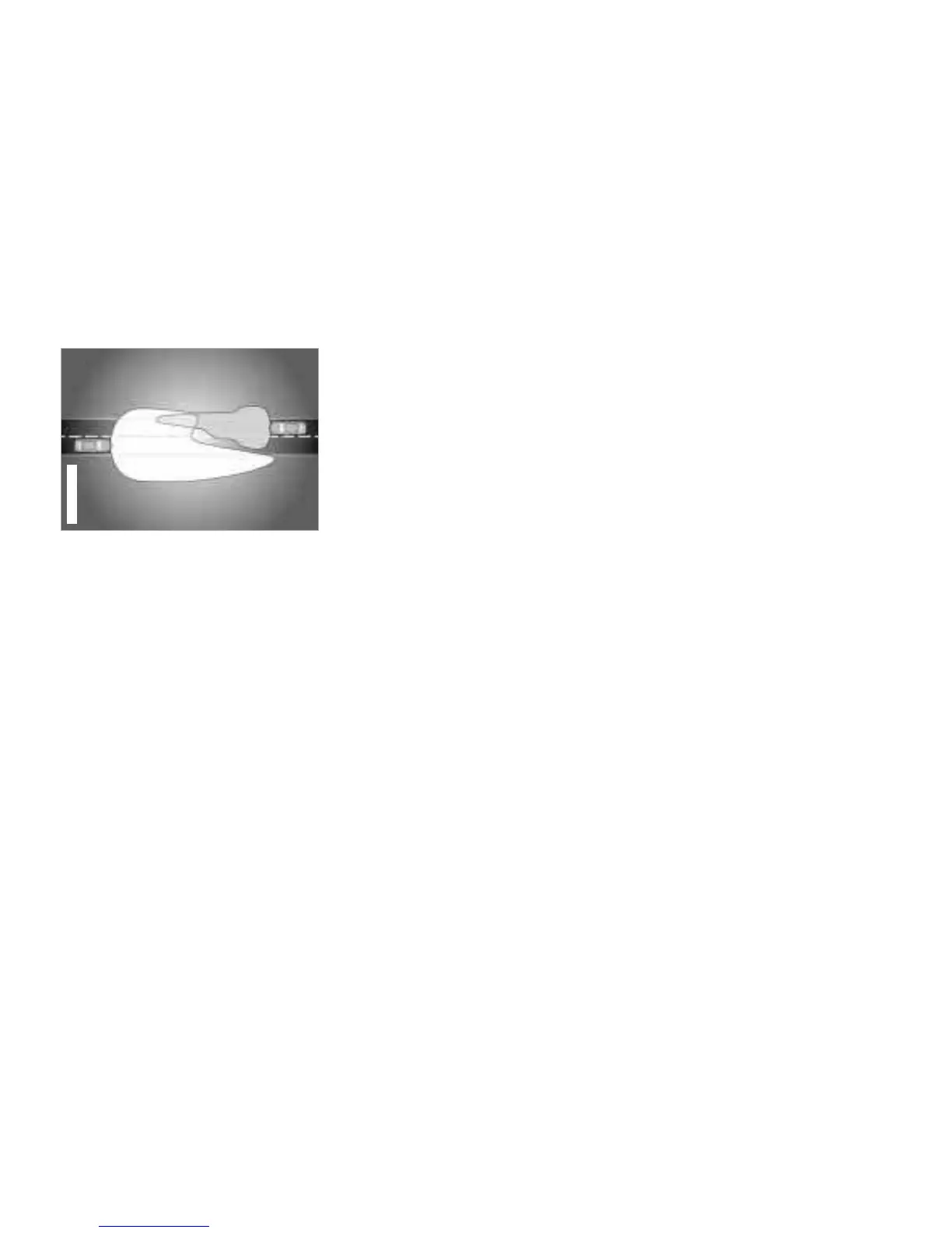 Page #202 background image
