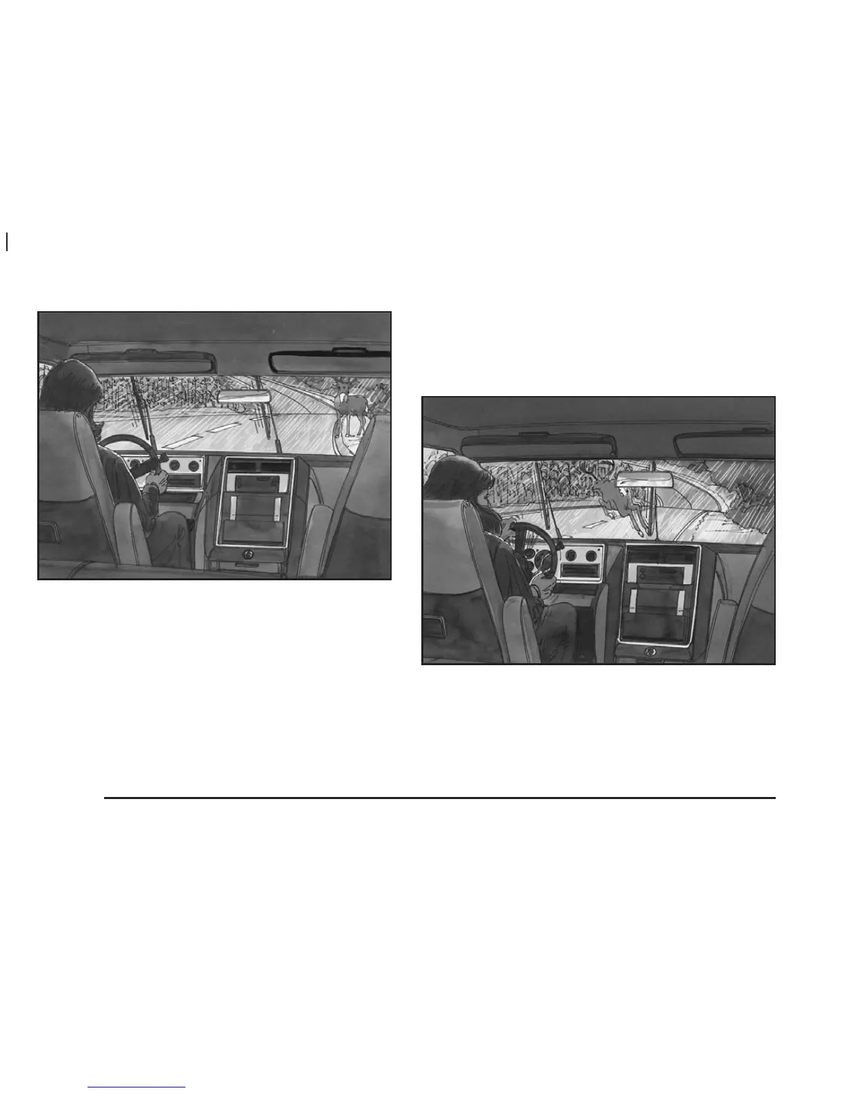 Page #304 background image