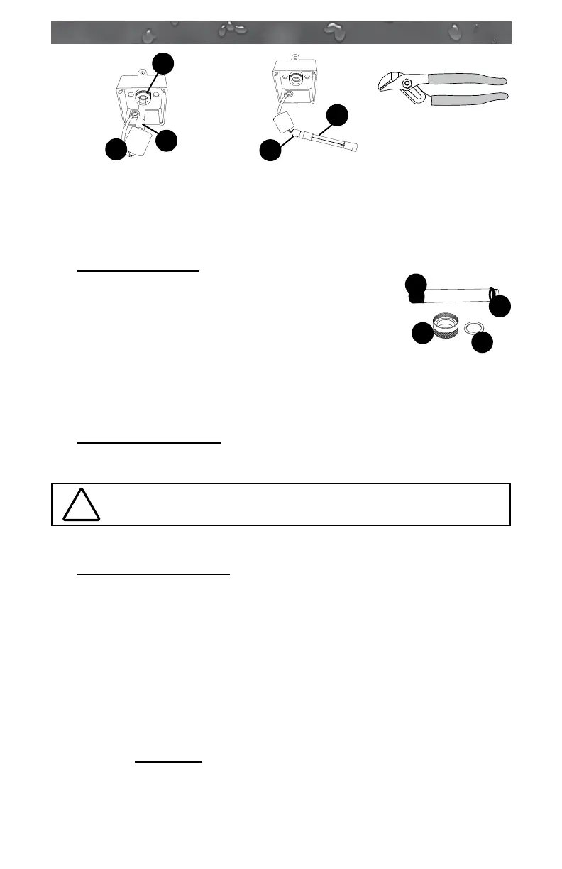 Page #47 background image