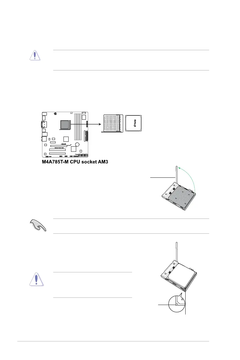 Page #20 background image