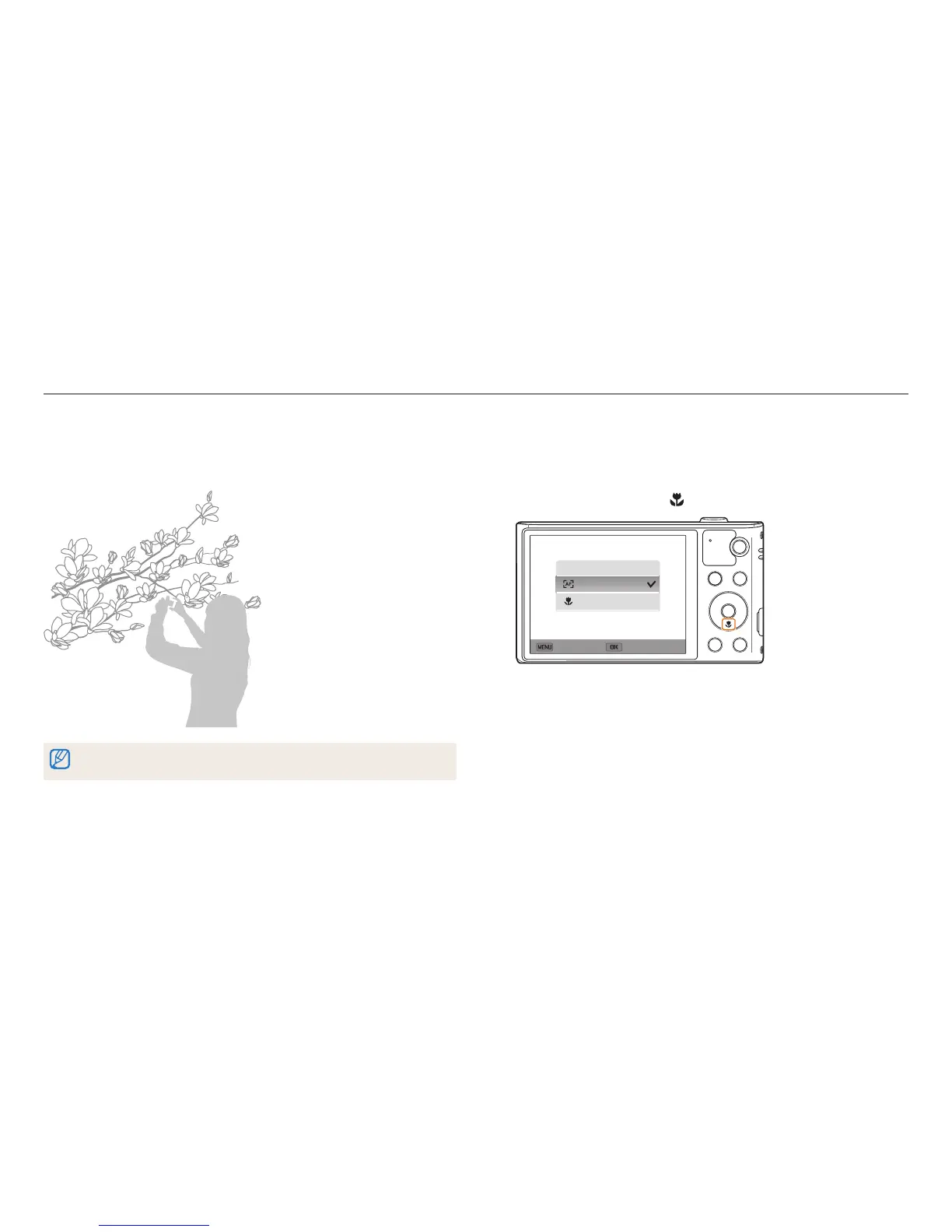 Page #65 background image