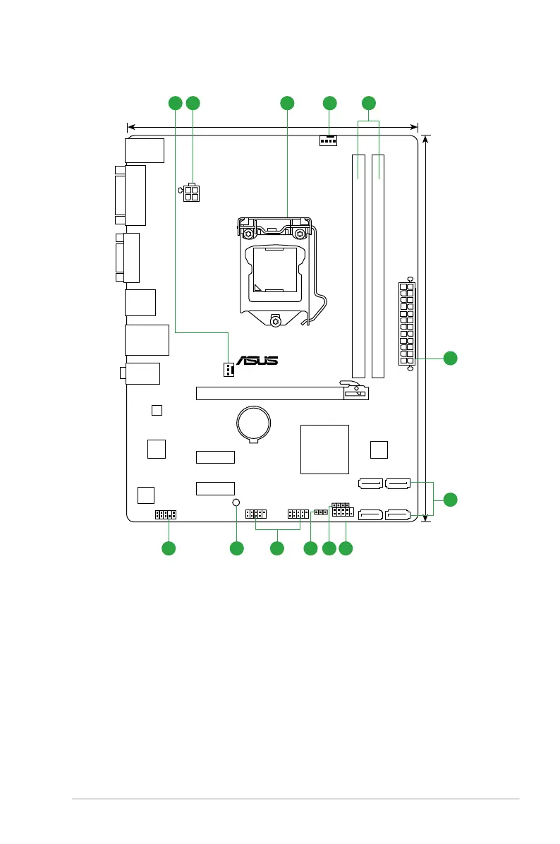 Page #13 background image