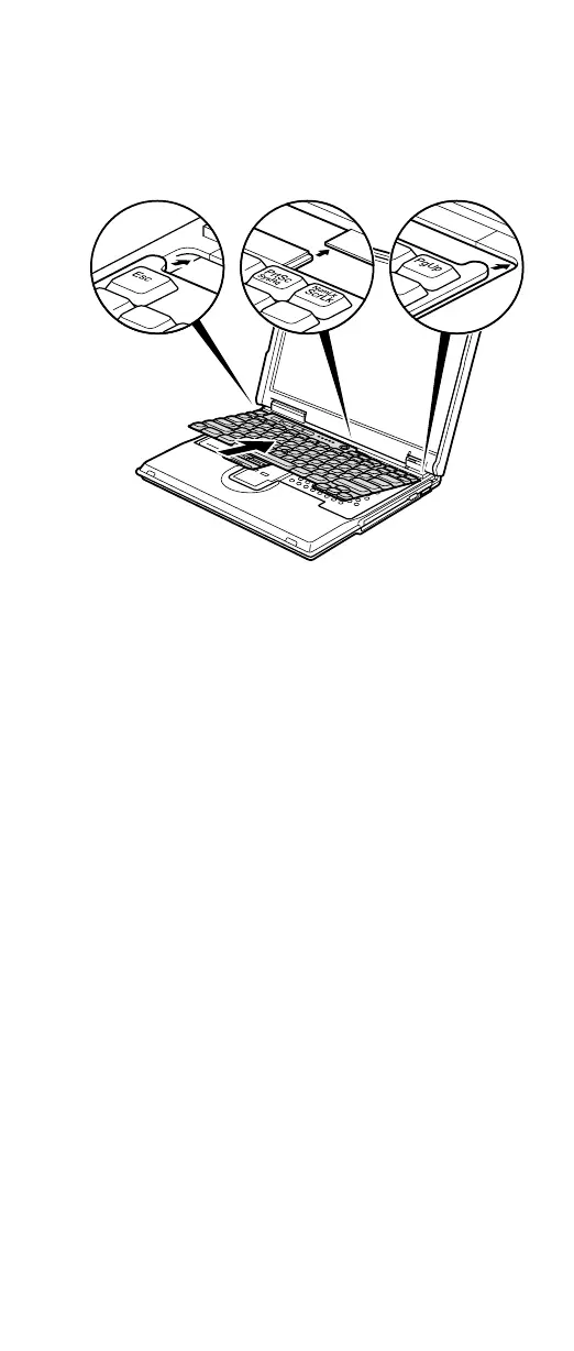 Page #81 background image