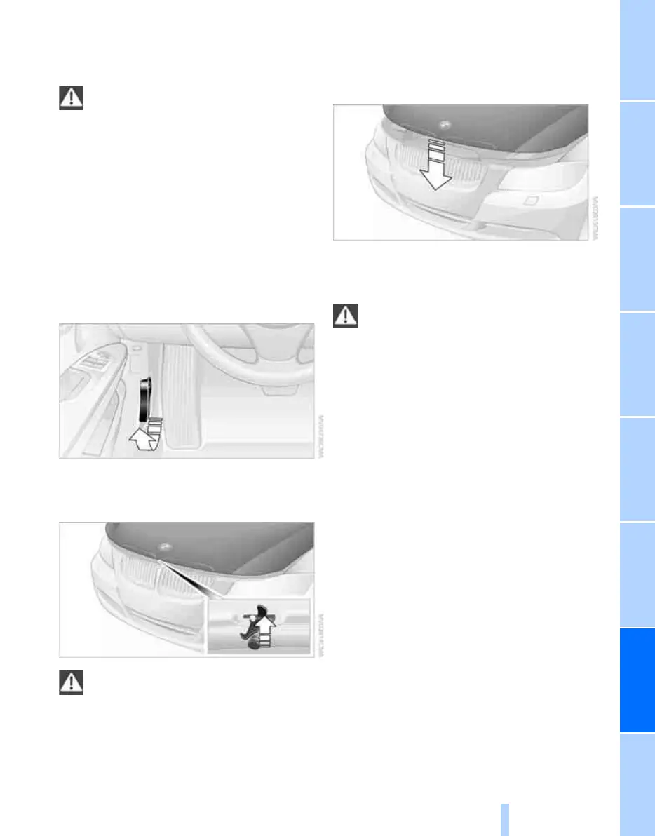 Page #223 background image