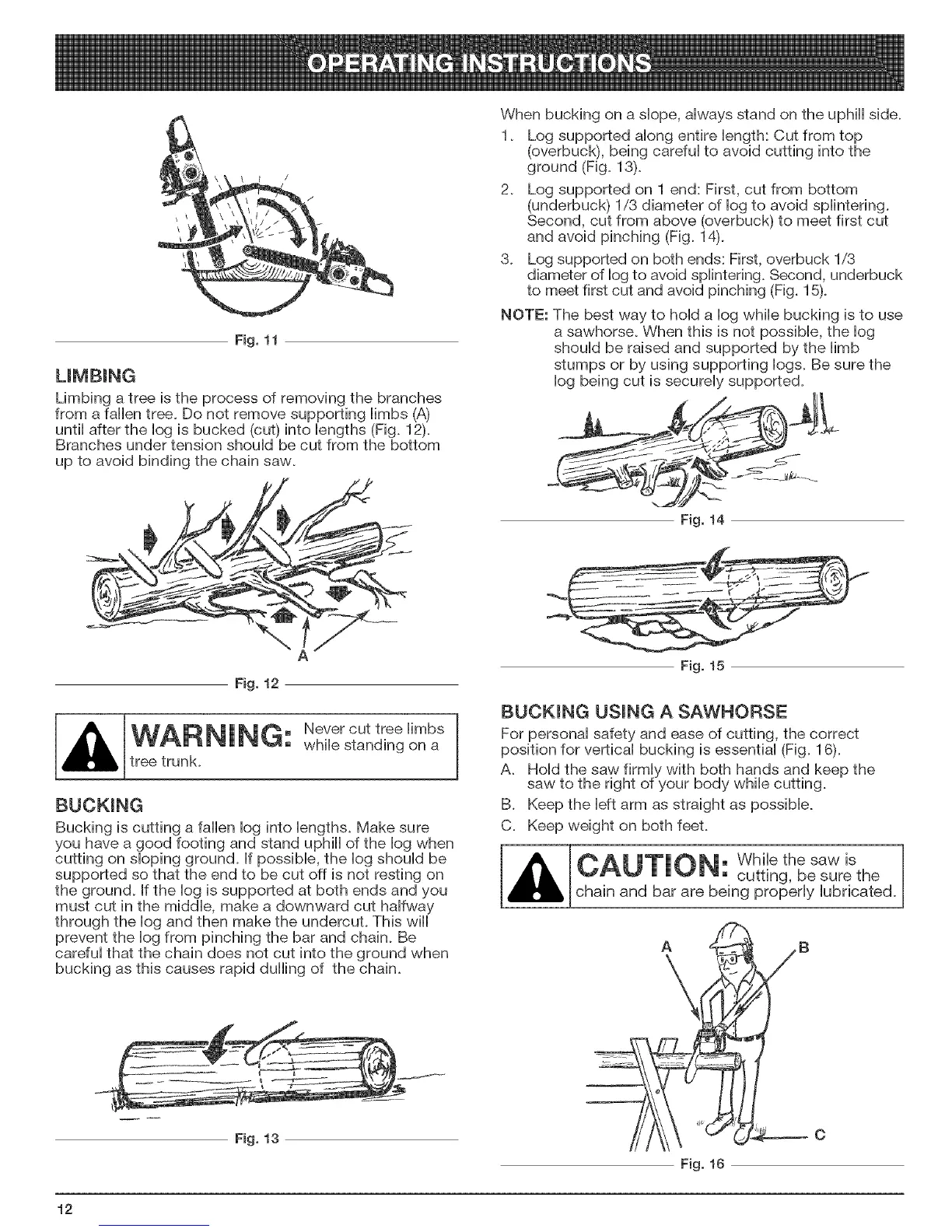 Page #12 background image