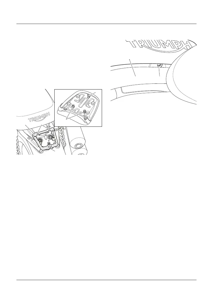 Page #65 background image