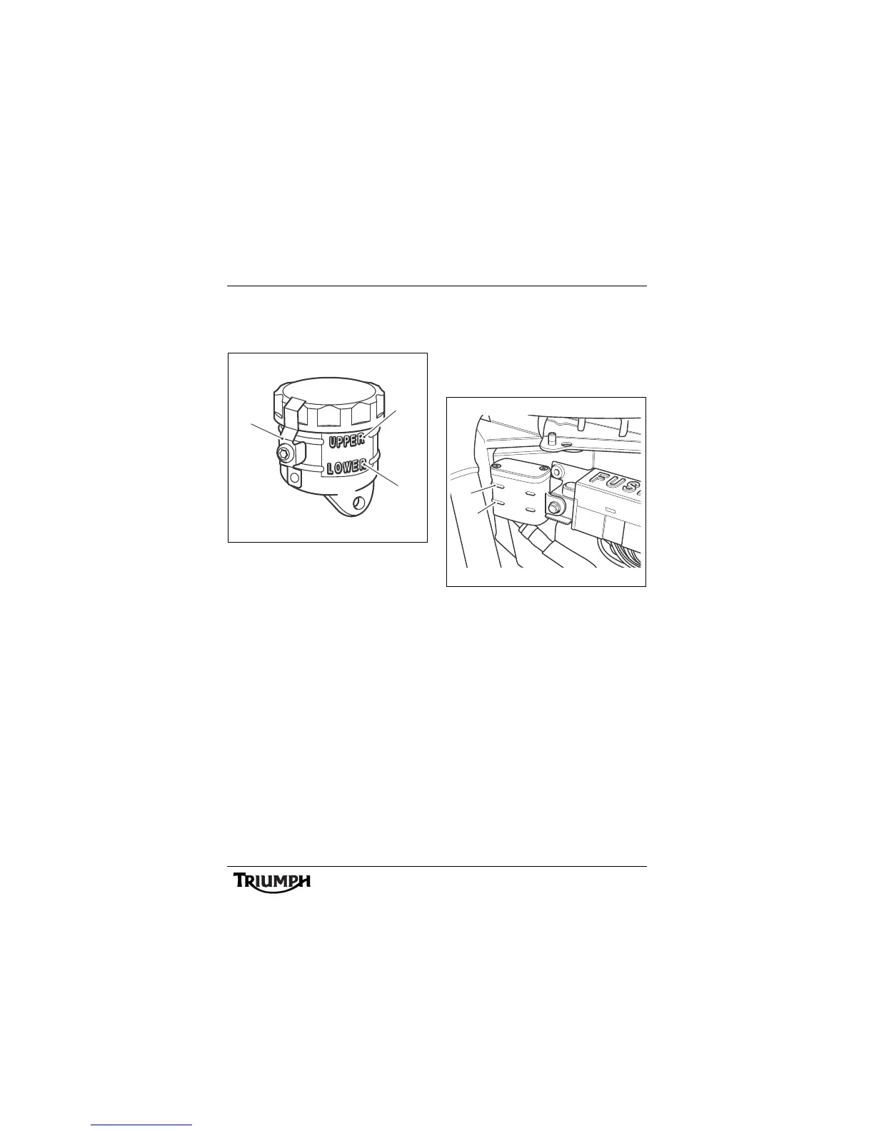 Page #81 background image