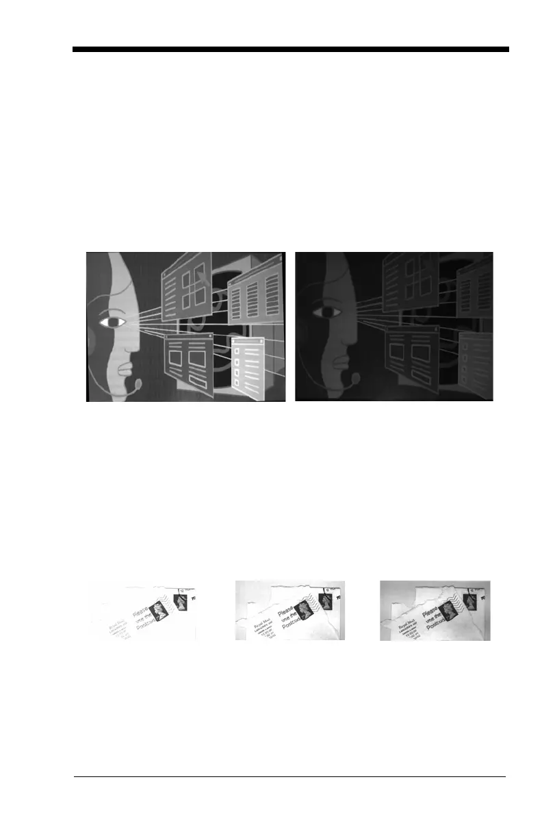 Page #195 background image