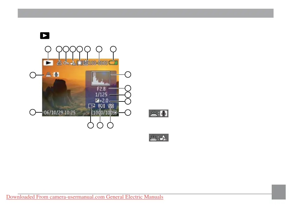 Page #43 background image