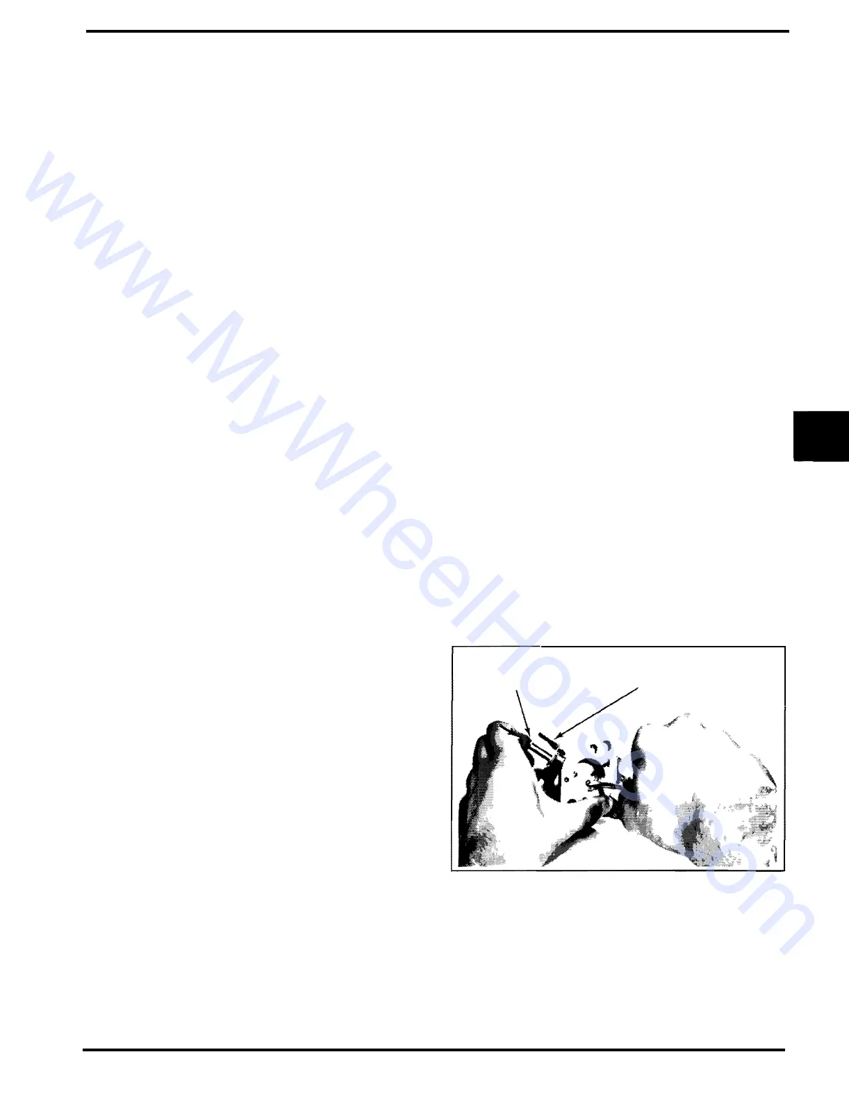 Page #43 background image