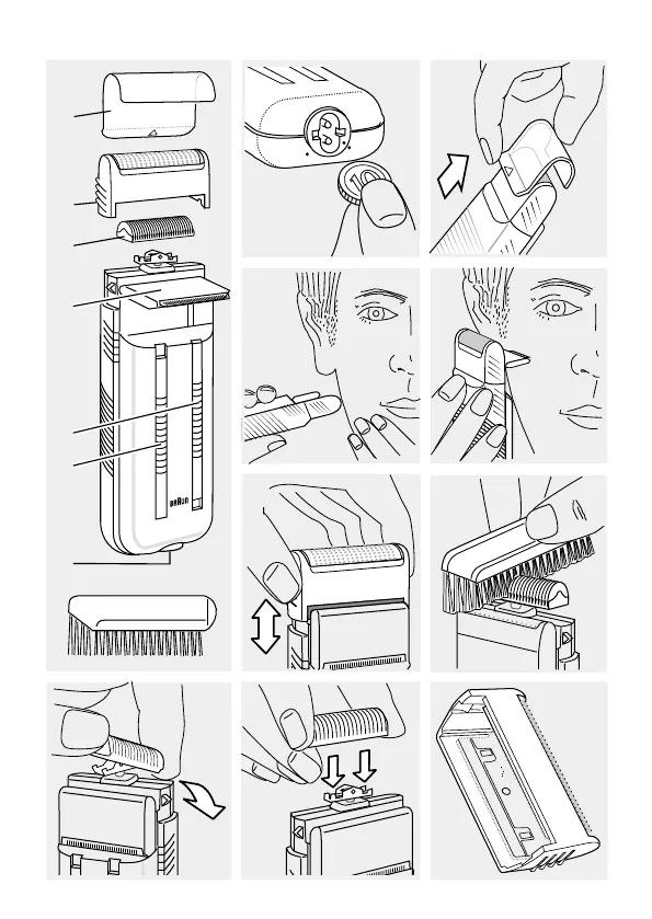 Page #2 background image