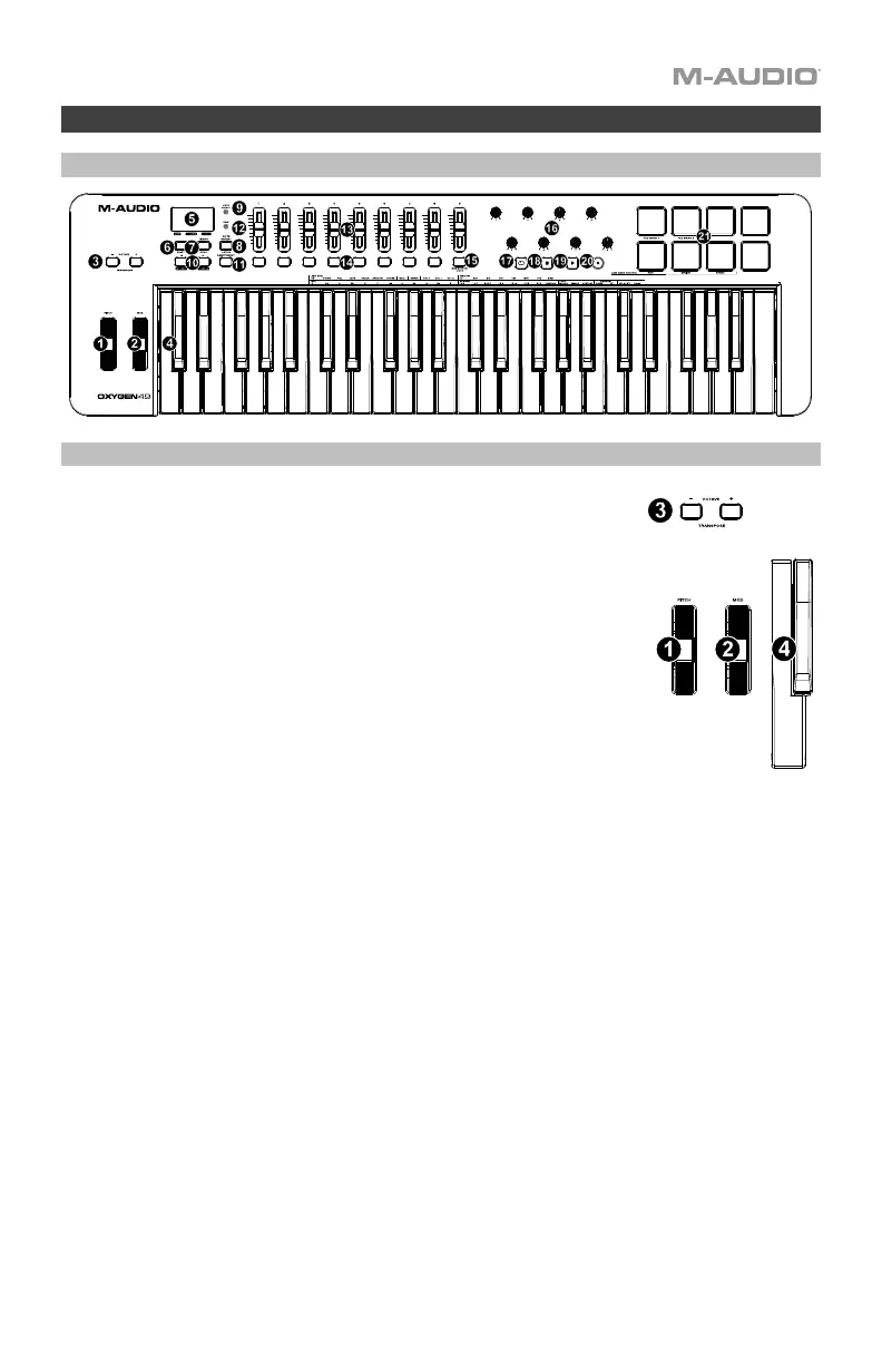 Page #5 background image