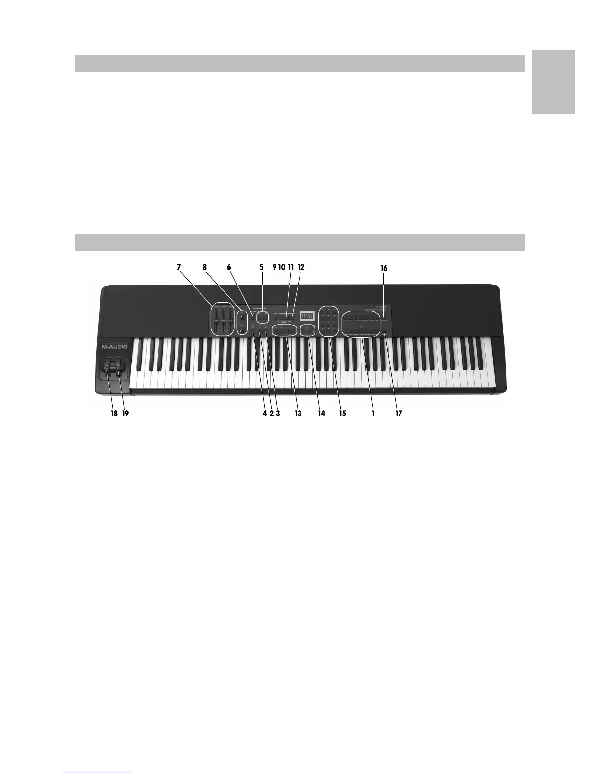 Page #3 background image