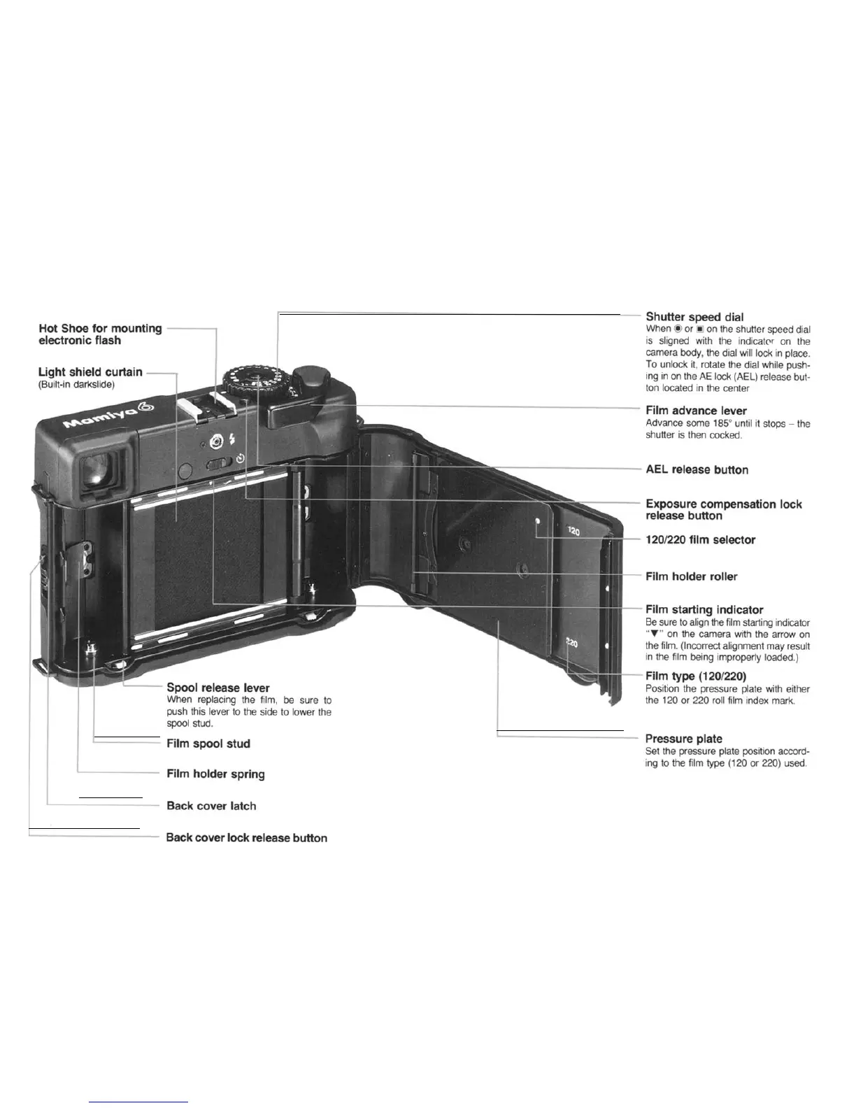 Page #7 background image