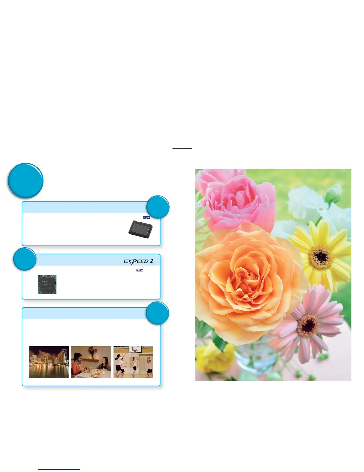 Page #3 background image