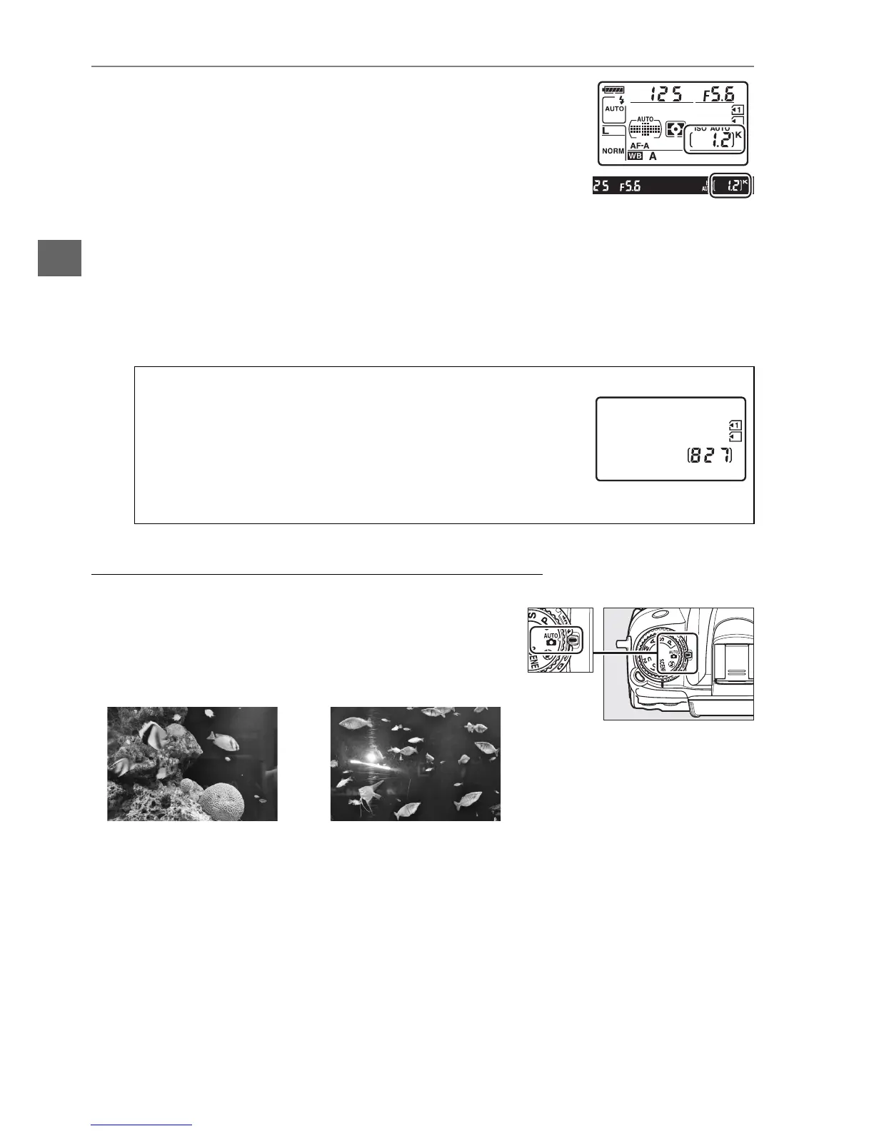 Page #56 background image