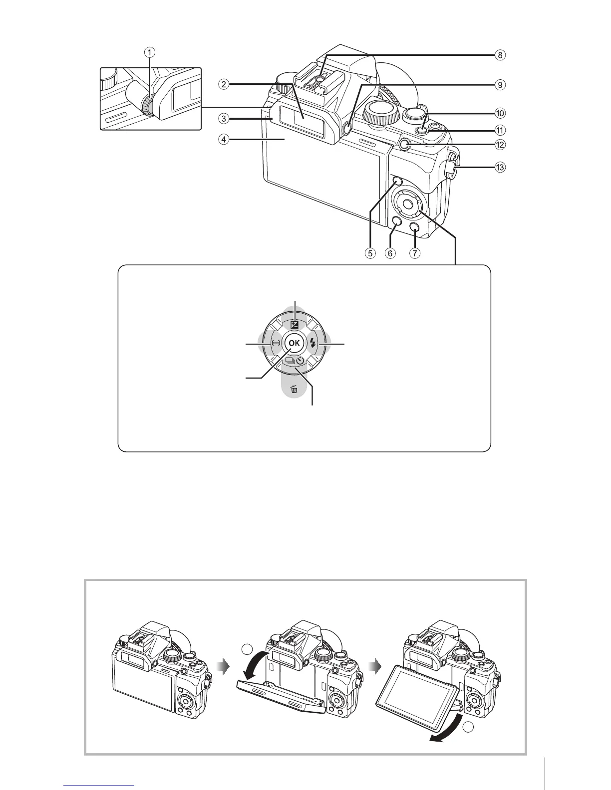 Page #5 background image