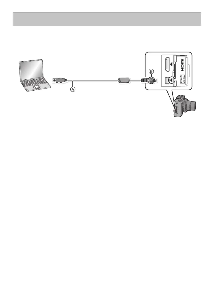 Page #231 background image