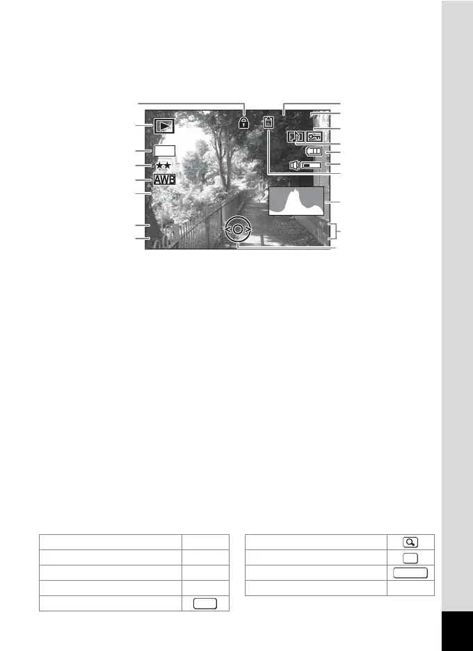 Page #17 background image