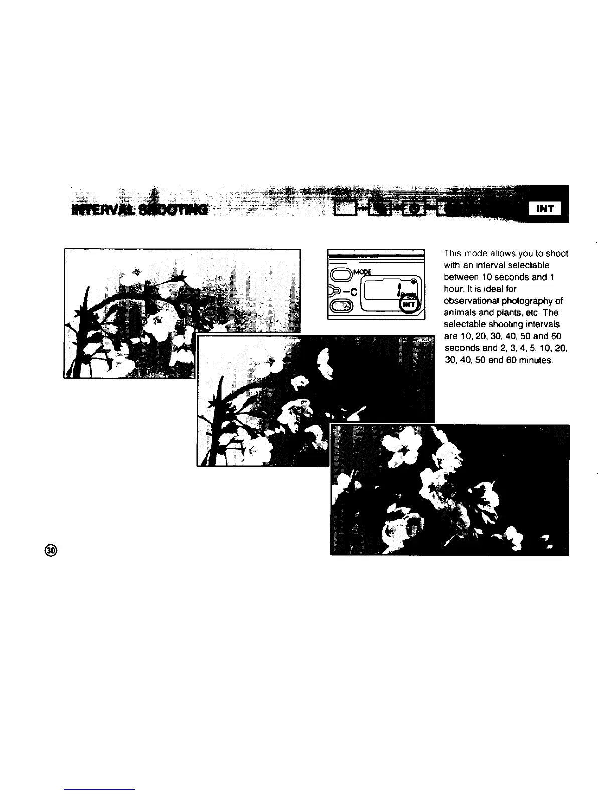 Page #36 background image