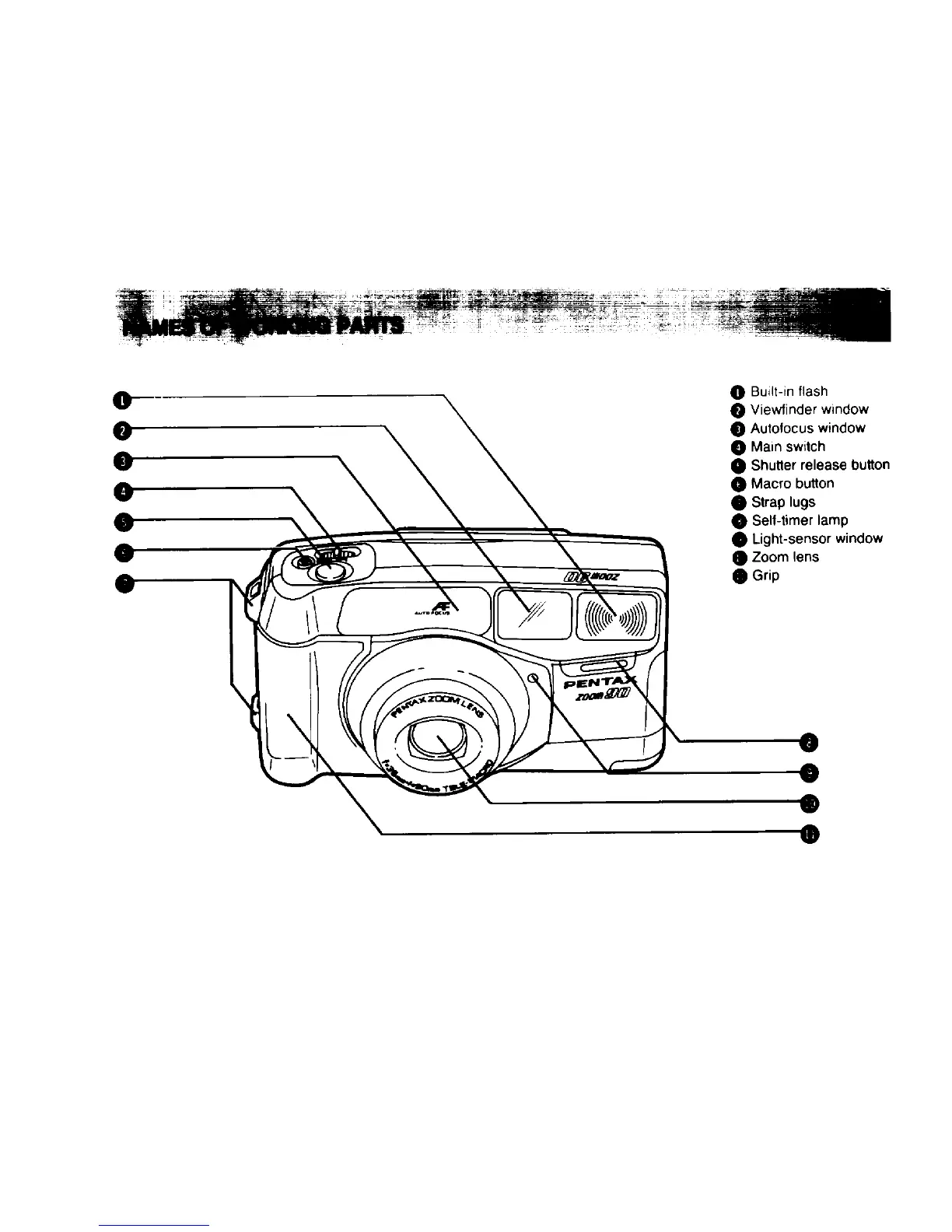 Page #4 background image