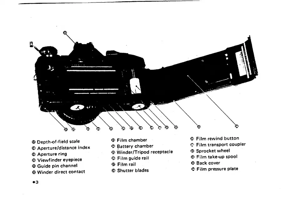 Page #5 background image