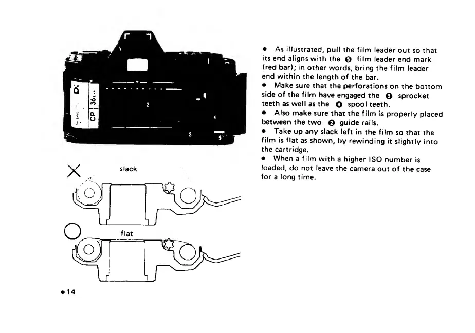 Page #16 background image