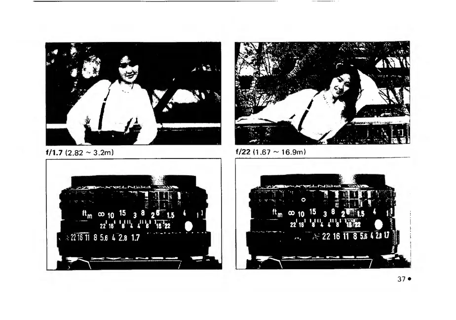 Page #39 background image