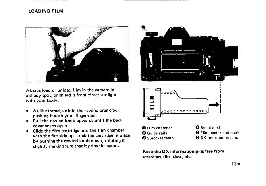 Page #15 background image