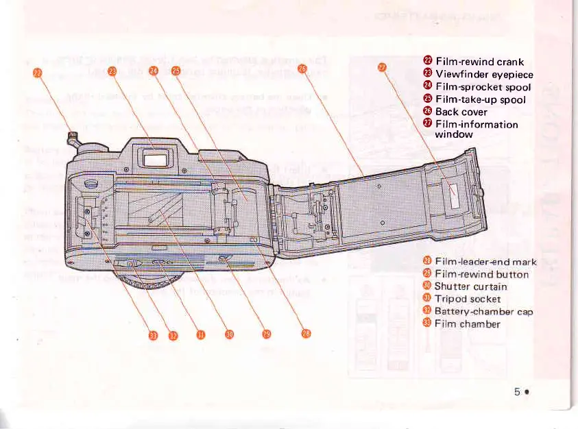 Page #8 background image