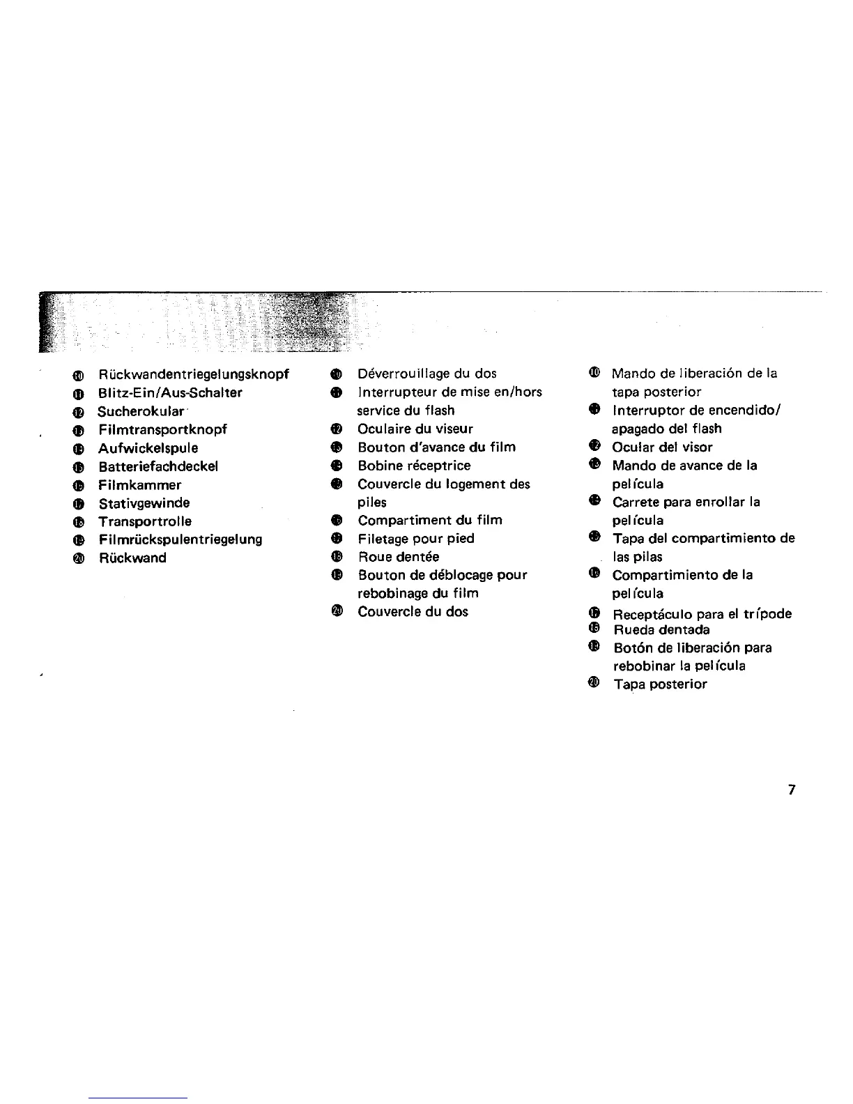 Page #7 background image