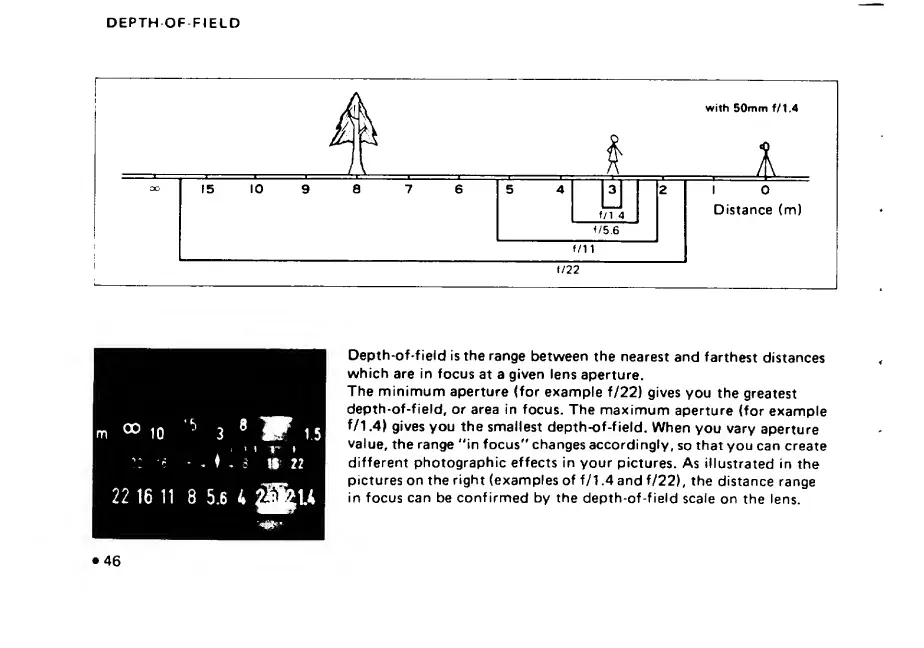 Page #50 background image