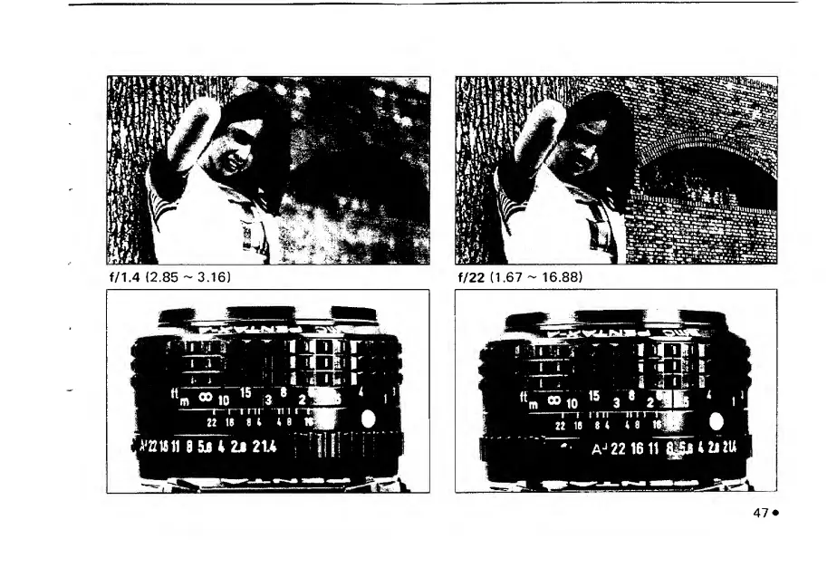 Page #51 background image