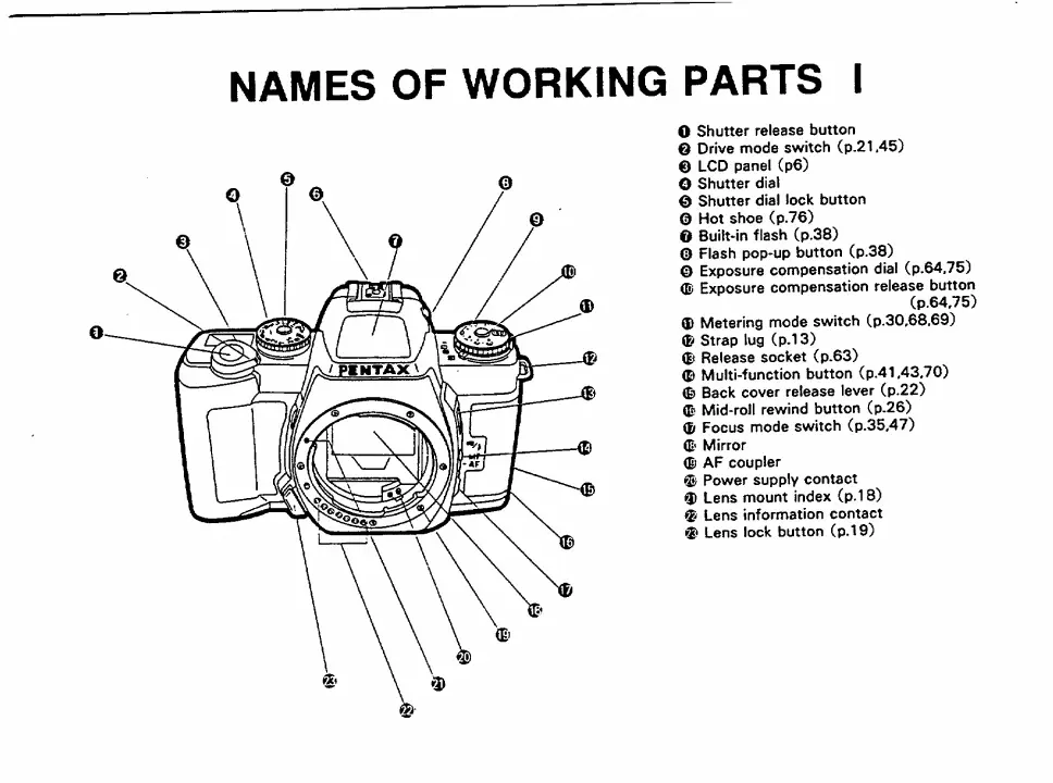 Page #3 background image