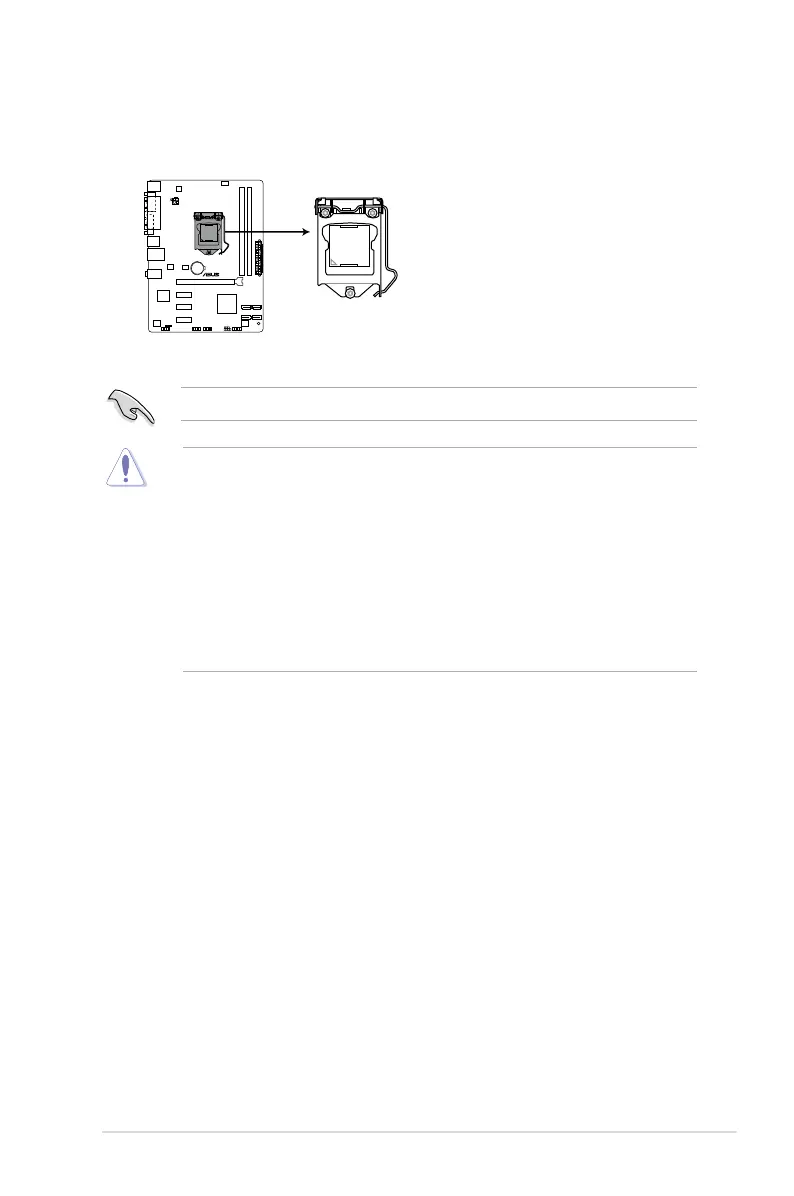 Page #19 background image