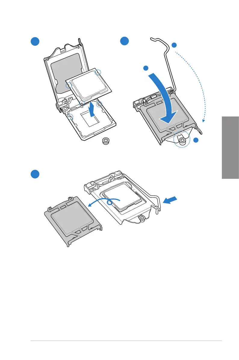 Page #51 background image