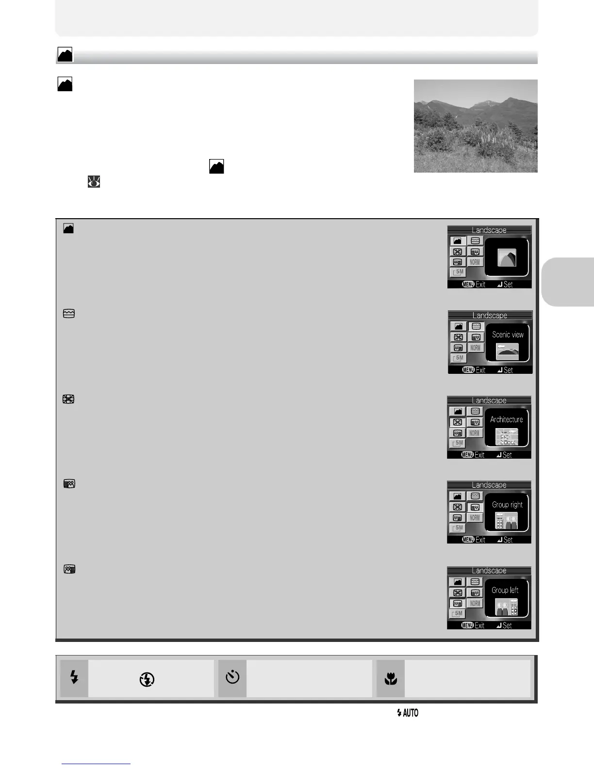 Page #41 background image